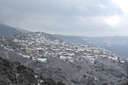 descrizione immagine