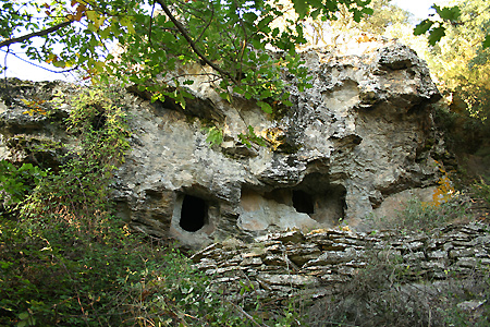 descrizione immagine