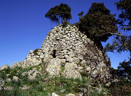 descrizione immagine