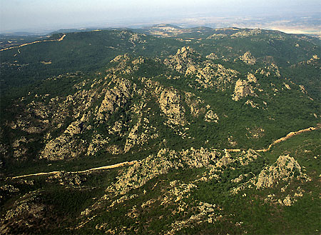 descrizione immagine