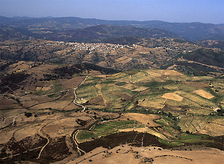 descrizione immagine