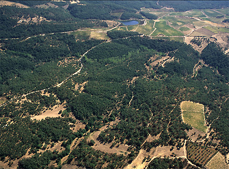 descrizione immagine